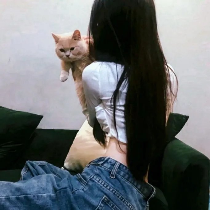 天使的声音