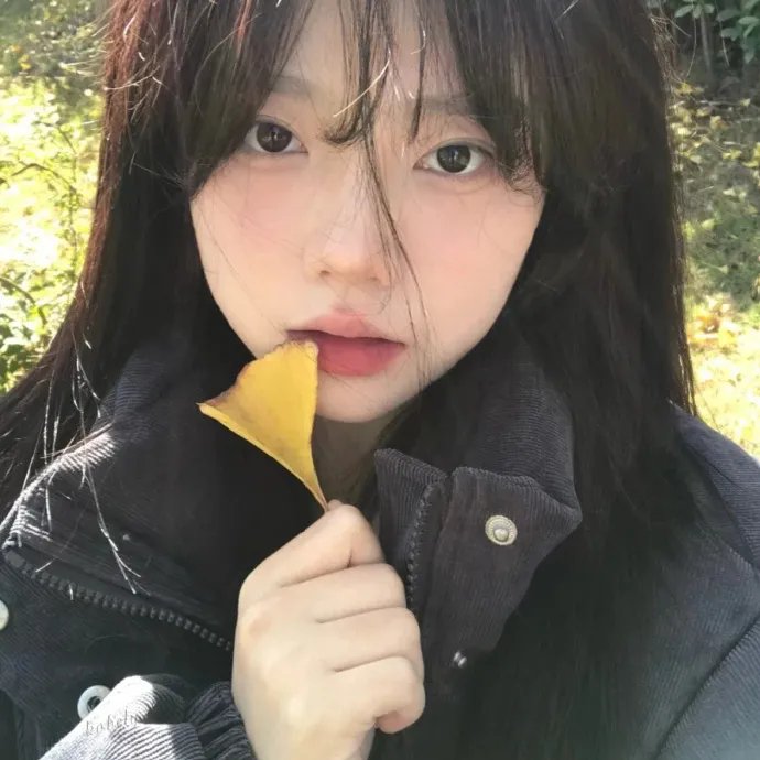 熊出没之熊心归来